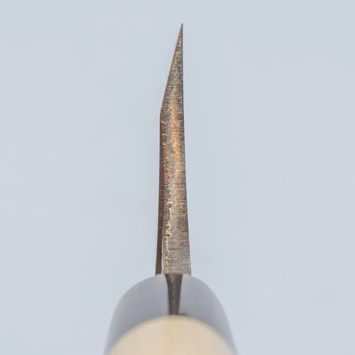 Suisin Yasukiko Deba 16.5 cm + Saya