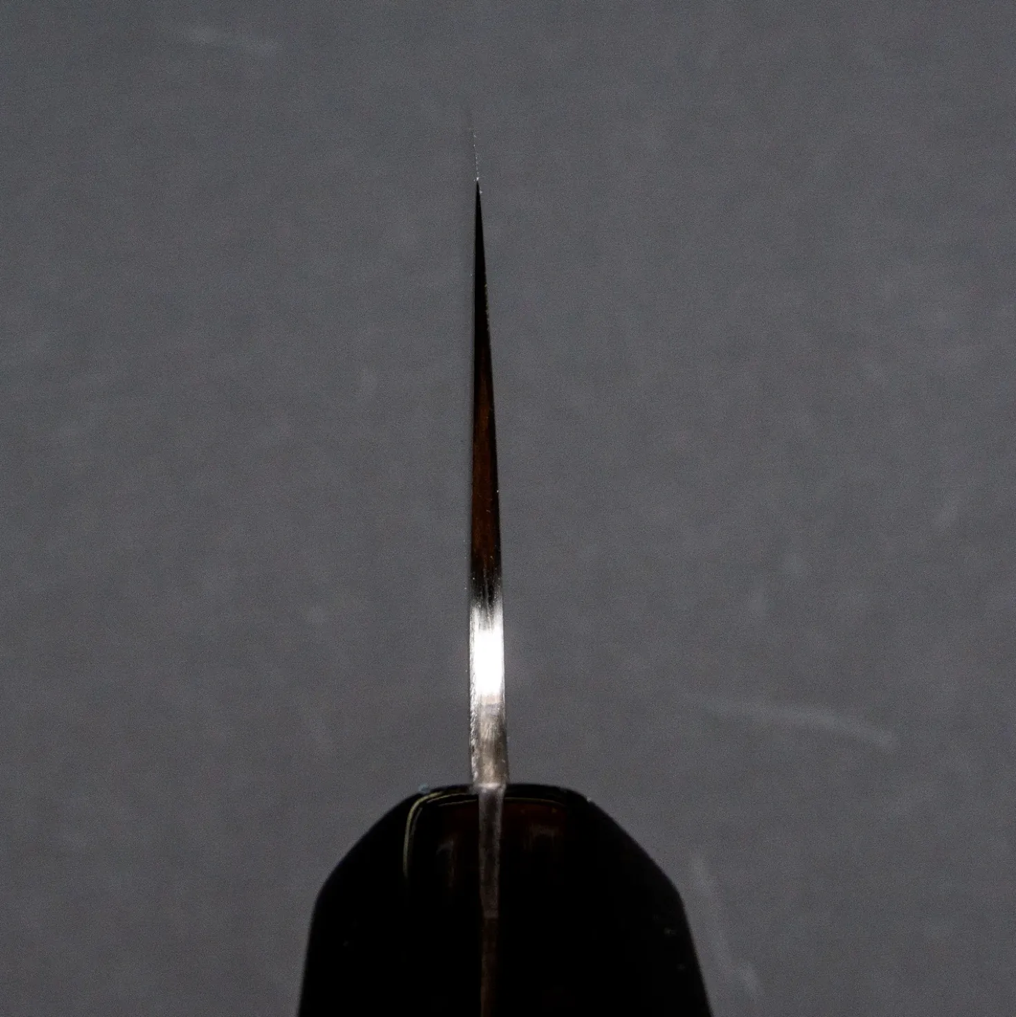Sukenari Aogami Super Gyuto 24 cm