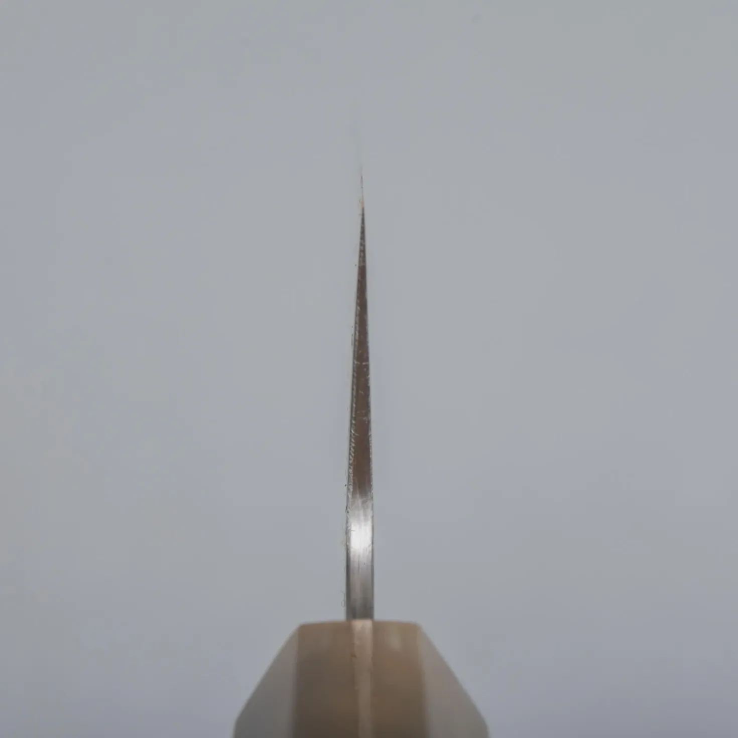 Sukenari HAP40 Bocote Gyuto 24 cm