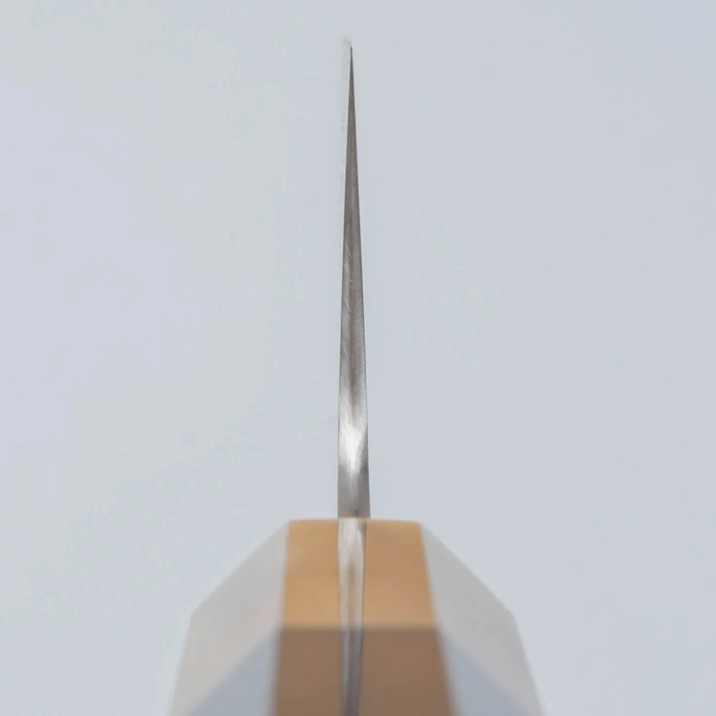 Sukenari ZDP-189 Ebony Gyuto 24 cm