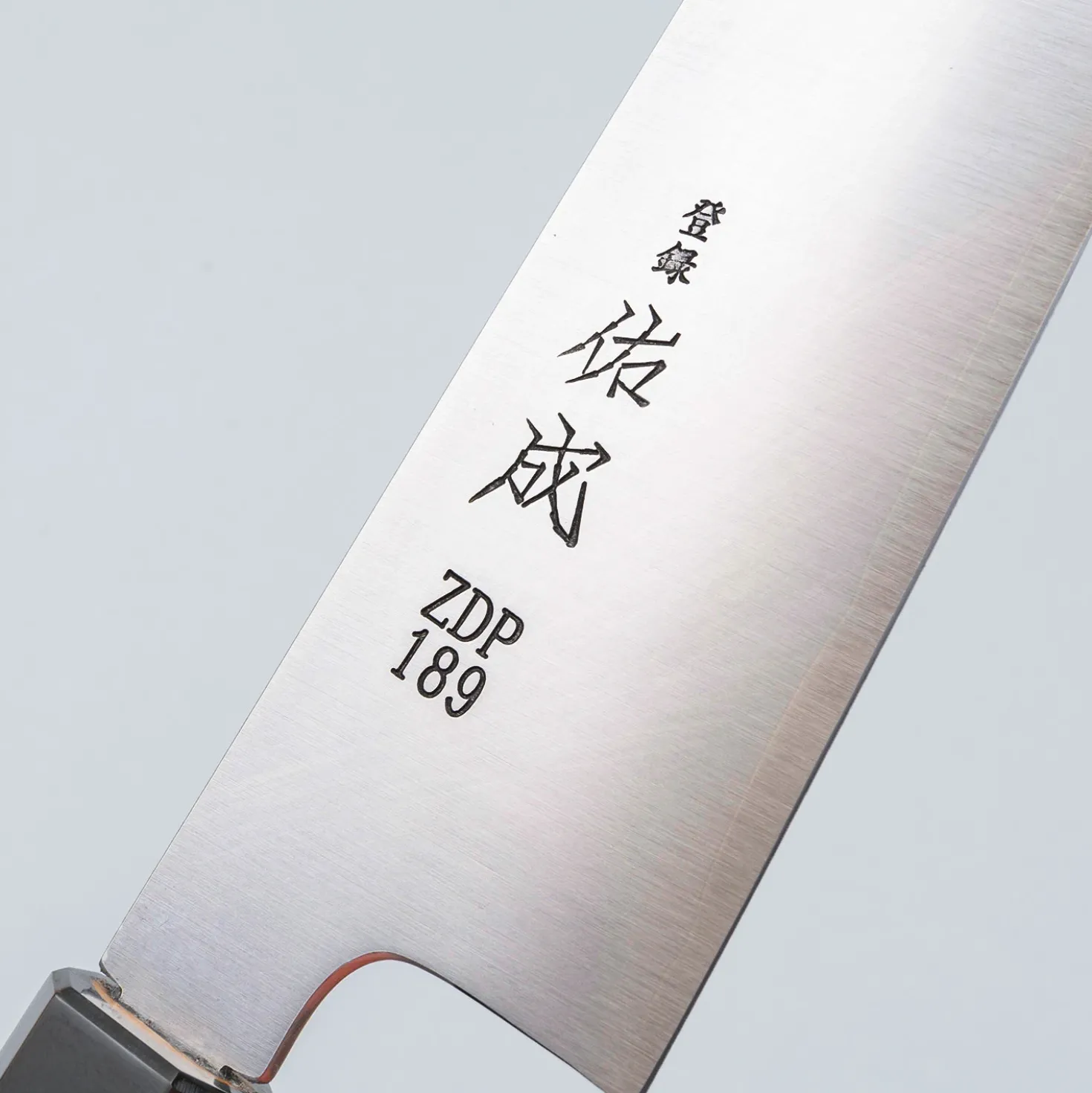 Sukenari ZDP-189 Kiritsuke Oak 21 cm