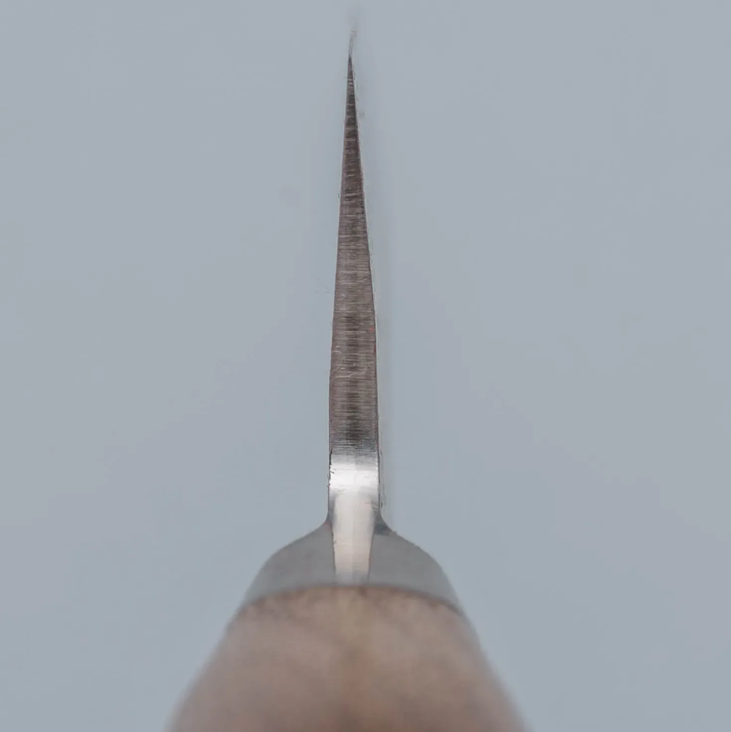Tadafusa Hocho SN-09 Garasuki 18 cm
