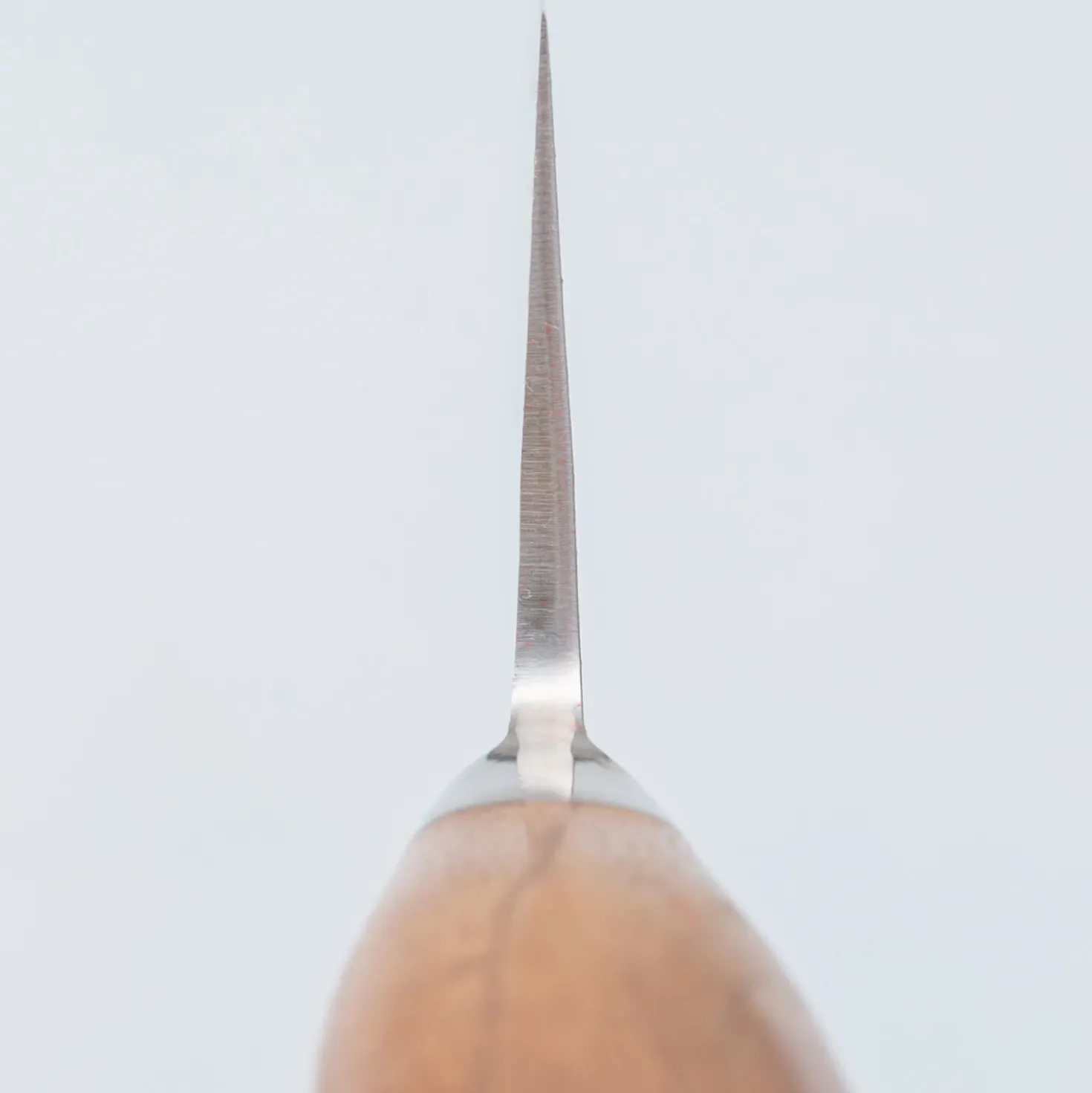 Tadafusa Hocho SN-15 Kiritsuke 24 cm