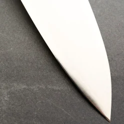 Takamura Migaki R2 Gyuto 21 cm