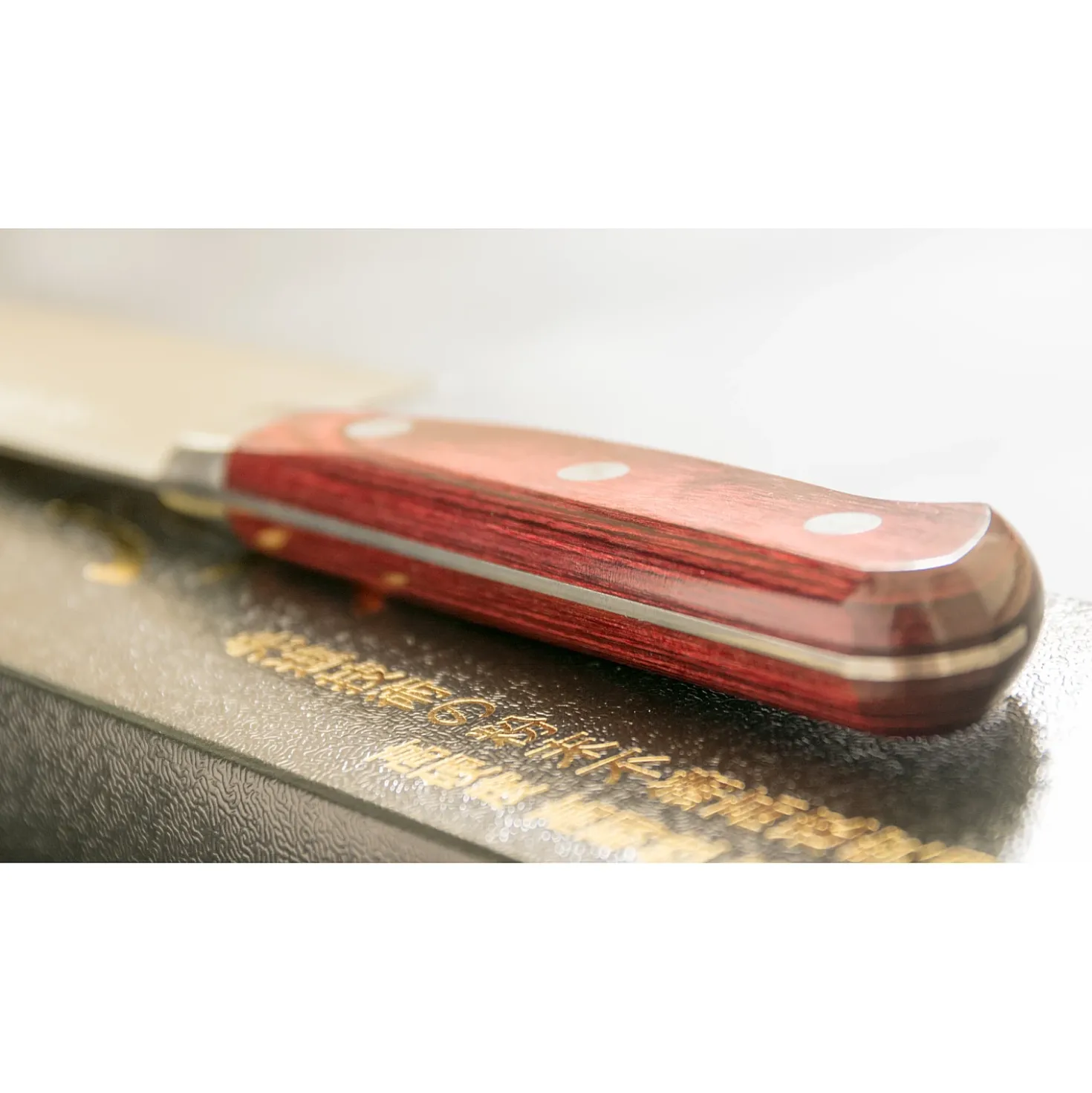 Takamura Migaki R2 Gyuto 21 cm