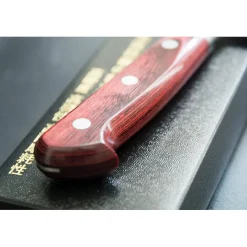 Takamura Migaki R2 Gyuto 21 cm