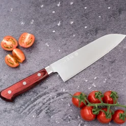 Takamura Migaki R2 Santoku 17 cm