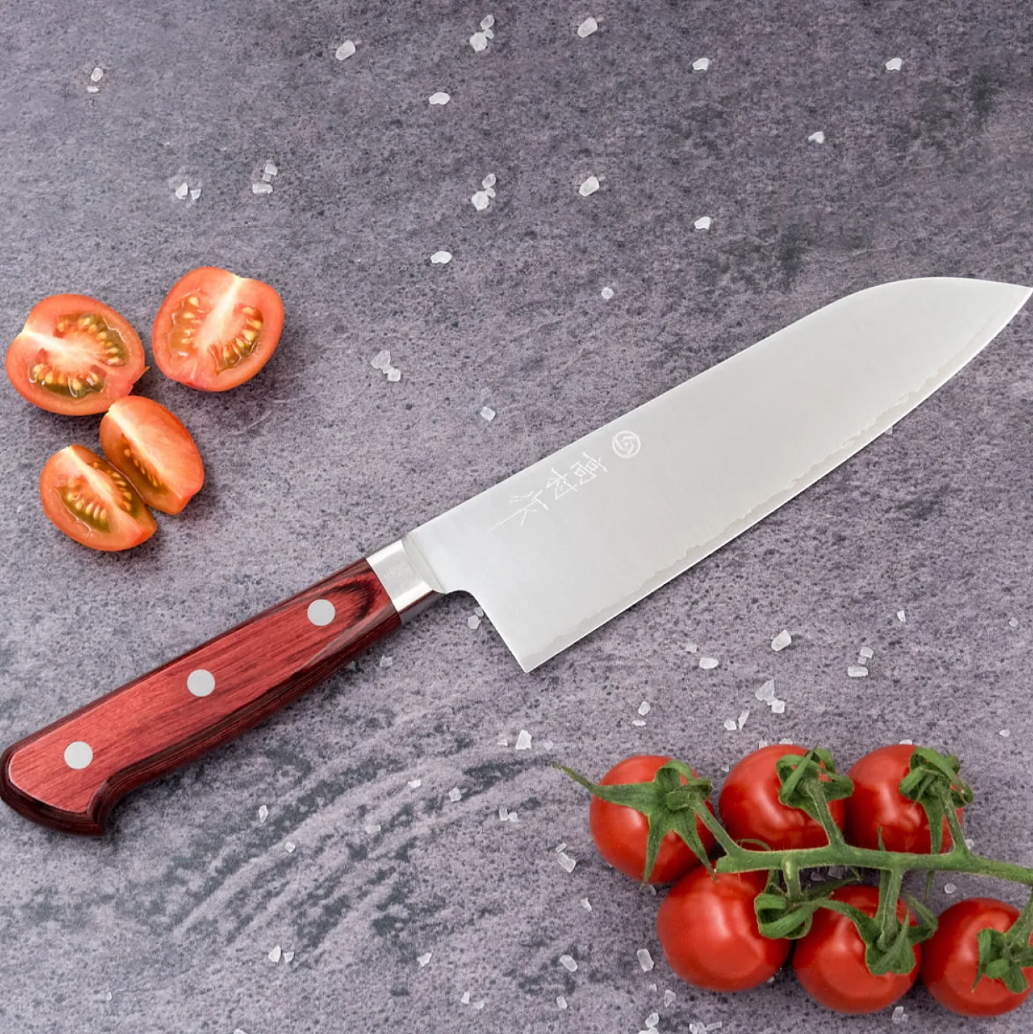 Takamura Migaki R2 Santoku 17 cm
