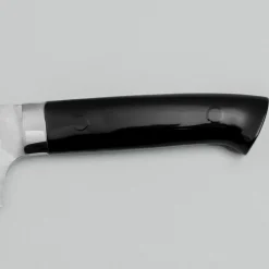 Takeshi Saji Rainbow Aogami Fuji Gyuto 27 cm #3