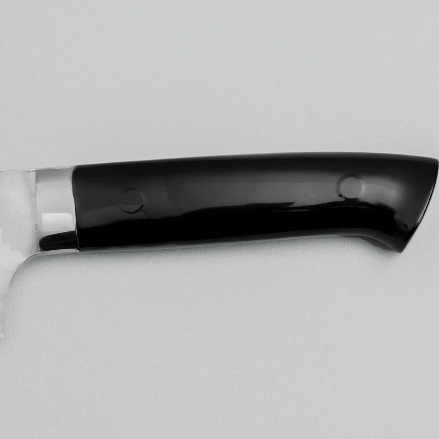 Takeshi Saji Rainbow Aogami Fuji Gyuto 27 cm #3