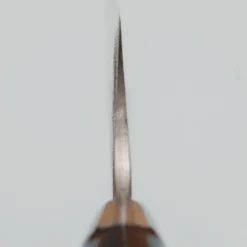 Takeshi Saji Rainbow Aogami Fuji Gyuto 27 cm #3