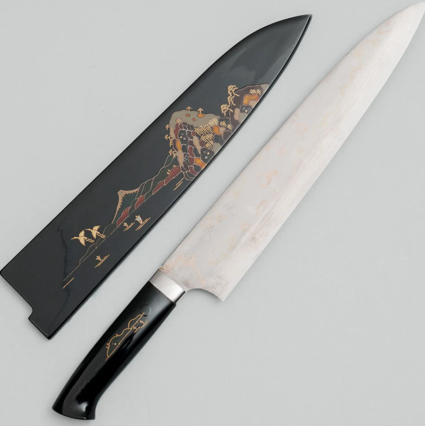 Takeshi Saji Rainbow Aogami Fuji Gyuto 27 cm #3