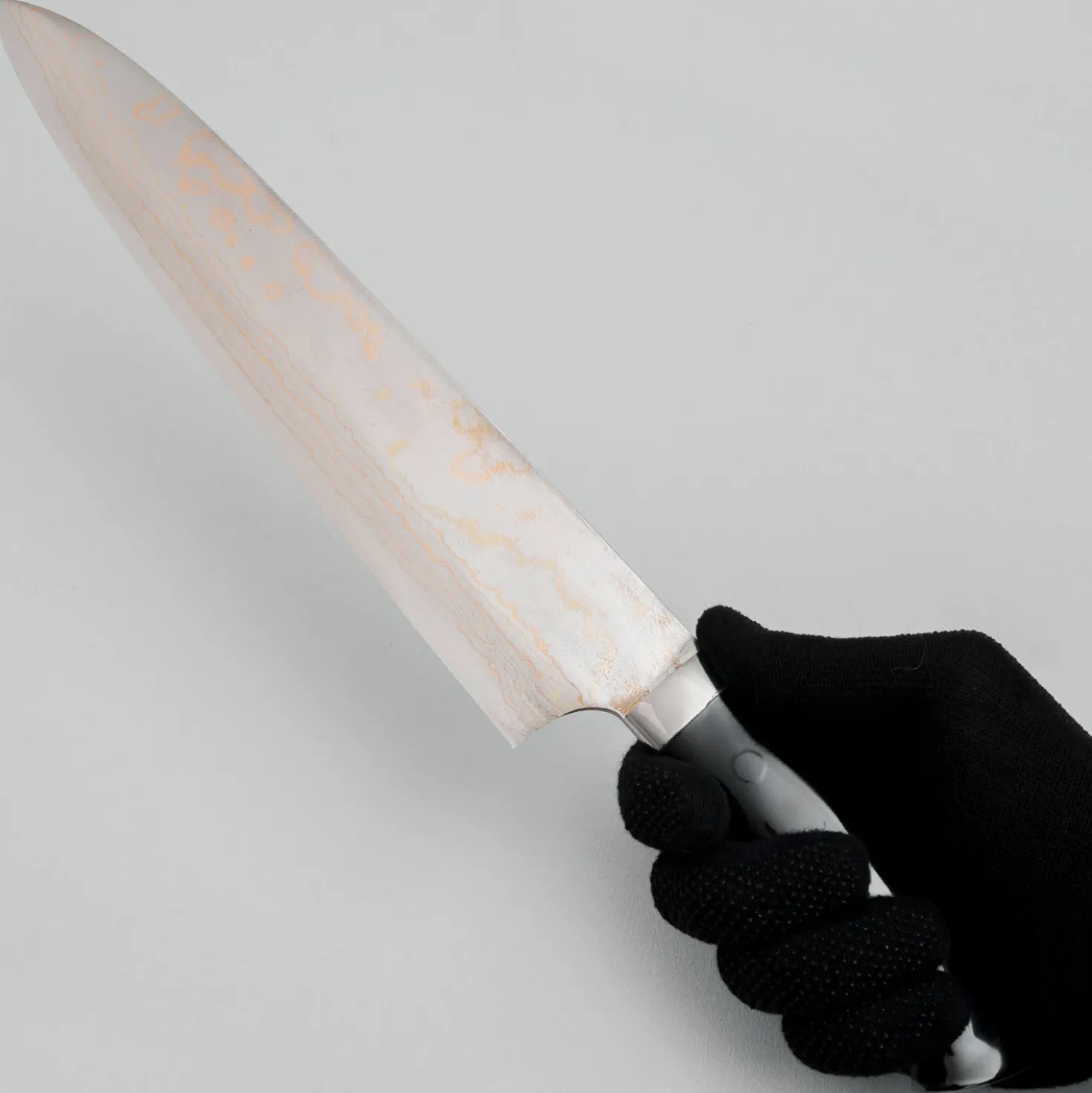 Takeshi Saji Rainbow Aogami Fuji Gyuto 27 cm #3