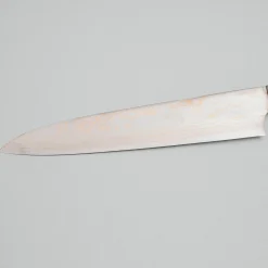 Takeshi Saji Rainbow Aogami Fuji Gyuto 27 cm #3