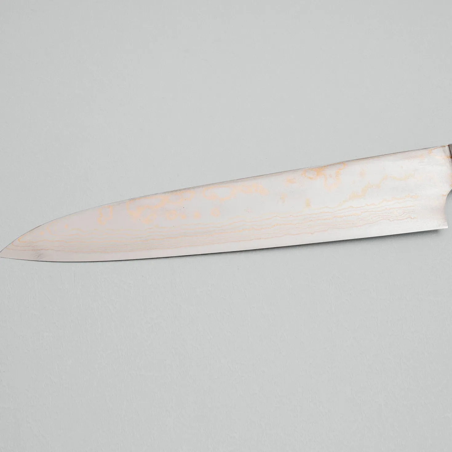 Takeshi Saji Rainbow Aogami Fuji Gyuto 27 cm #3