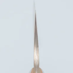 Takeshi Saji Rainbow Aogami Fuji Gyuto 27 cm #2