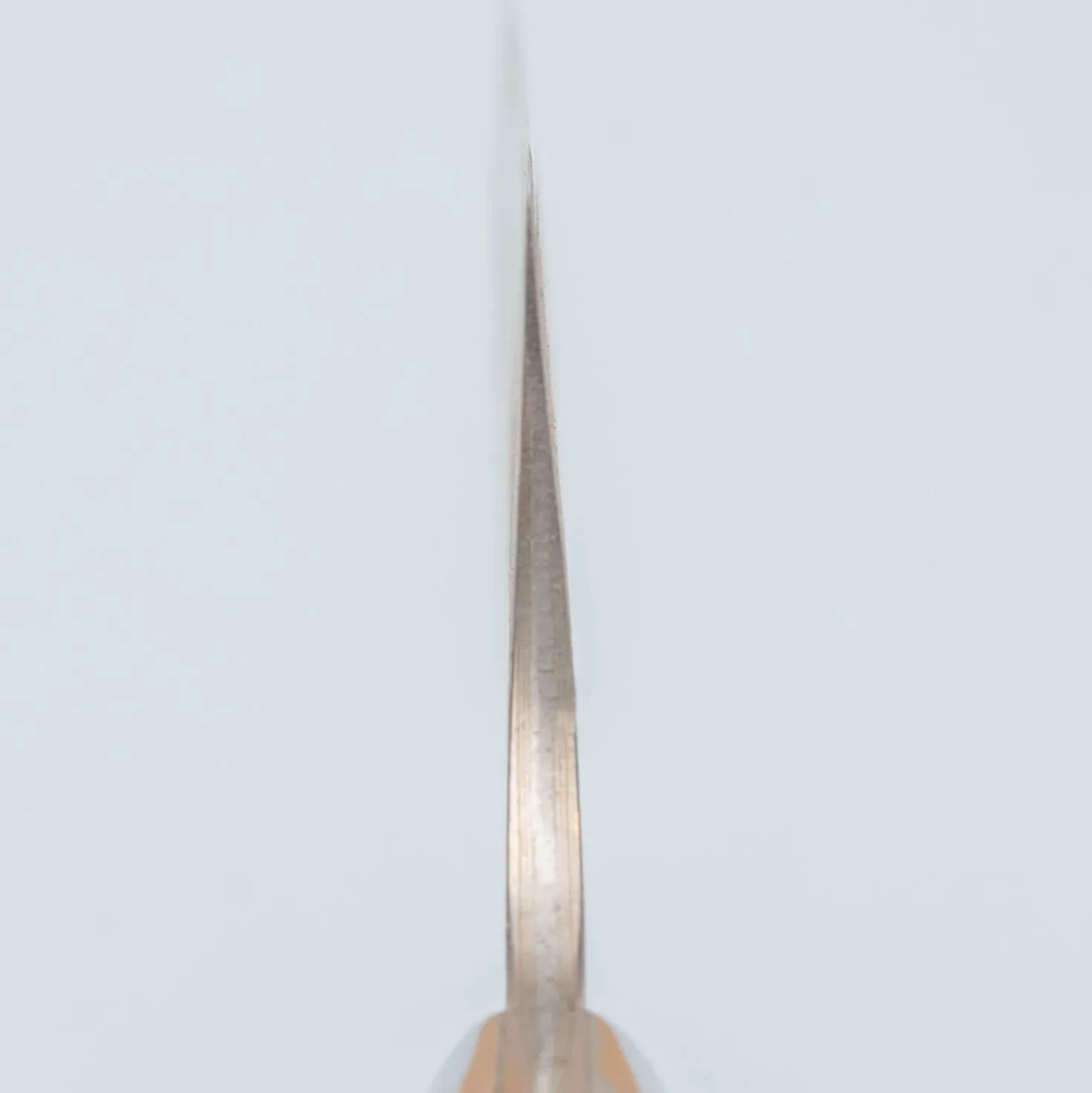 Takeshi Saji Rainbow Aogami Fuji Gyuto 27 cm #2