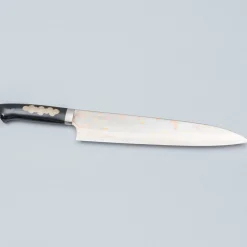 Takeshi Saji Rainbow Aogami Fuji Gyuto 27 cm #2