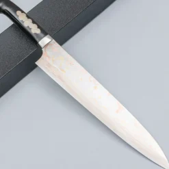 Takeshi Saji Rainbow Aogami Fuji Gyuto 27 cm #2