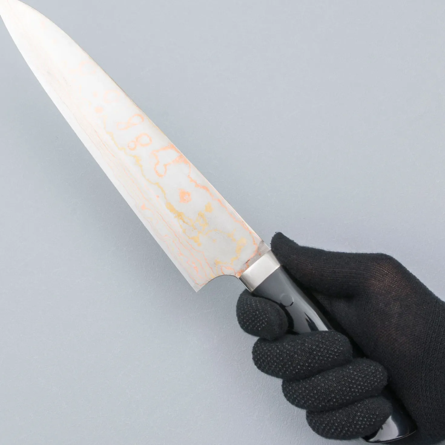 Takeshi Saji Rainbow Aogami Fuji Gyuto 27 cm #2