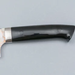 Takeshi Saji Rainbow Aogami Fuji Gyuto 27 cm #2