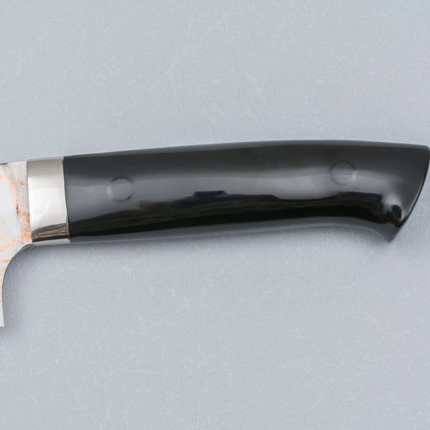 Takeshi Saji Rainbow Aogami Fuji Gyuto 27 cm #2