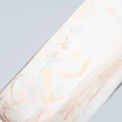 Takeshi Saji Rainbow Aogami Fuji Gyuto 27 cm #2