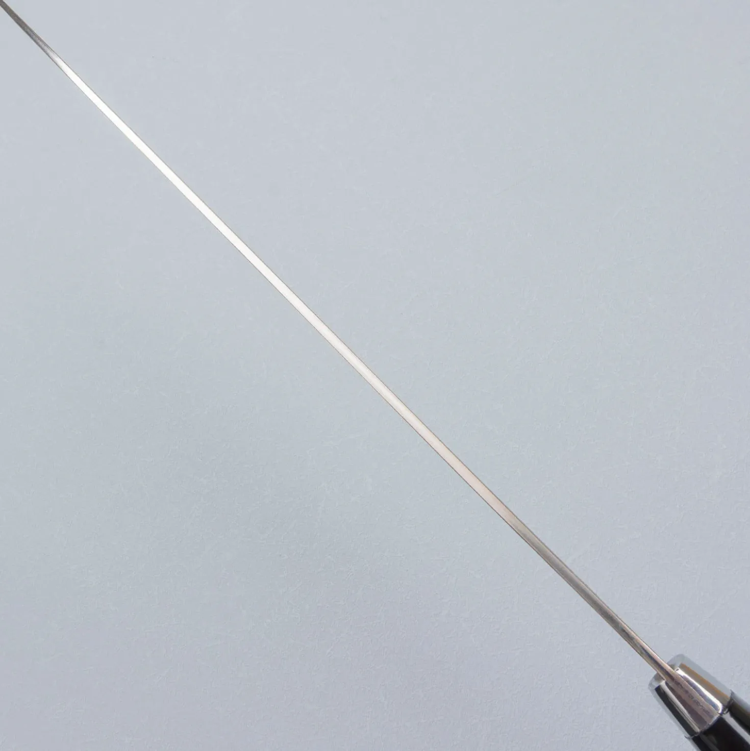 Takeshi Saji Rainbow Aogami Fuji Gyuto 27 cm #2
