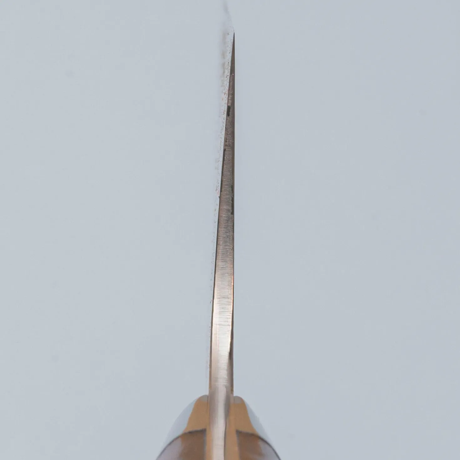 Takeshi Saji Rainbow Aogami Ironwood Gyuto 24 cm