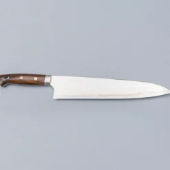 Takeshi Saji Rainbow Aogami Ironwood Gyuto 24 cm