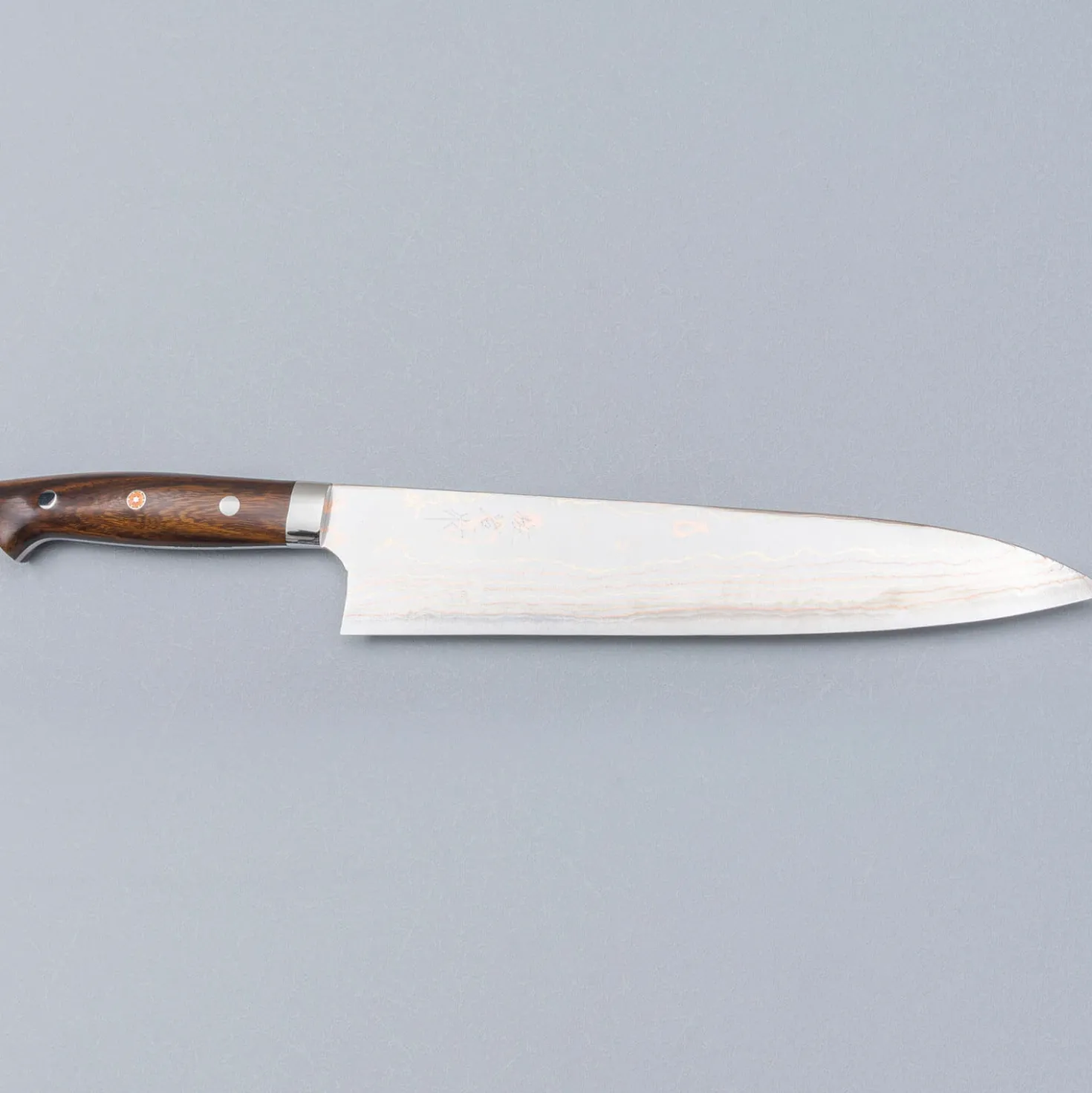 Takeshi Saji Rainbow Aogami Ironwood Gyuto 24 cm