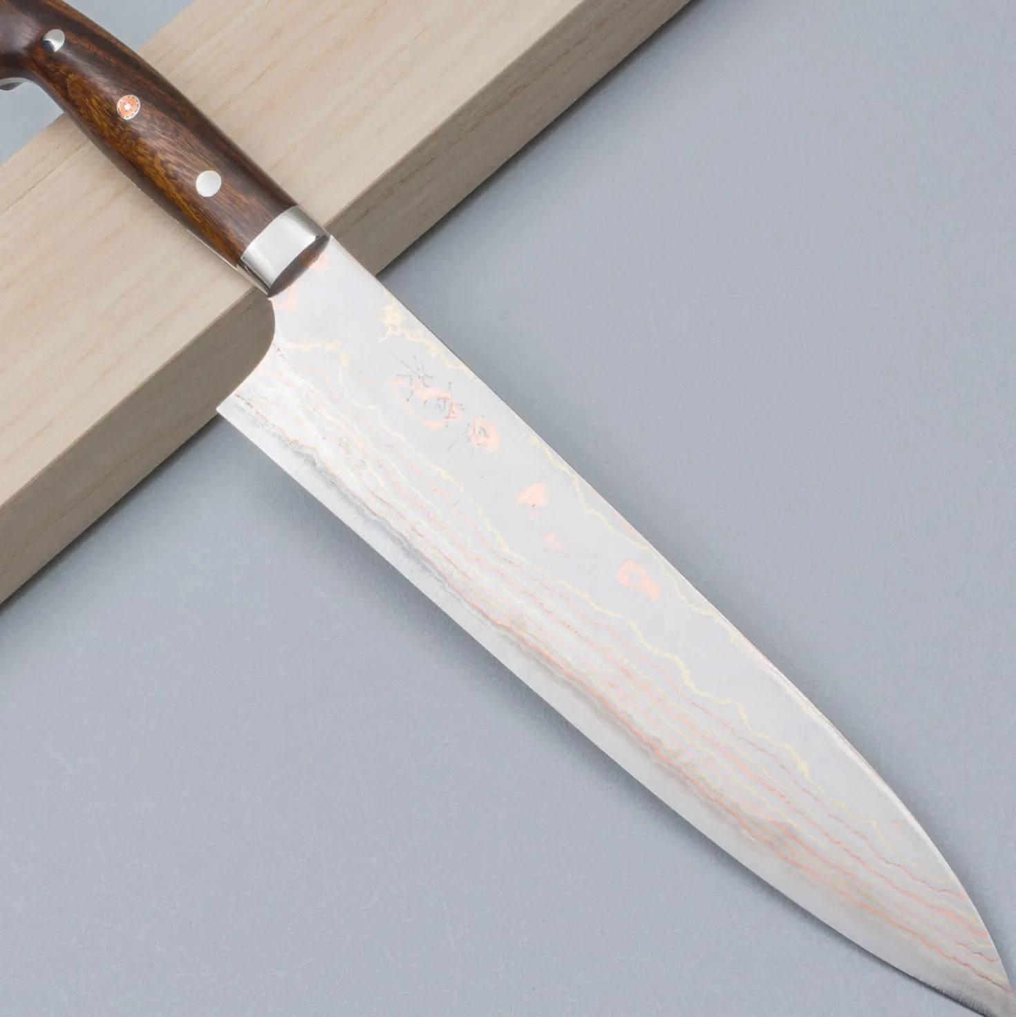 Takeshi Saji Rainbow Aogami Ironwood Gyuto 24 cm