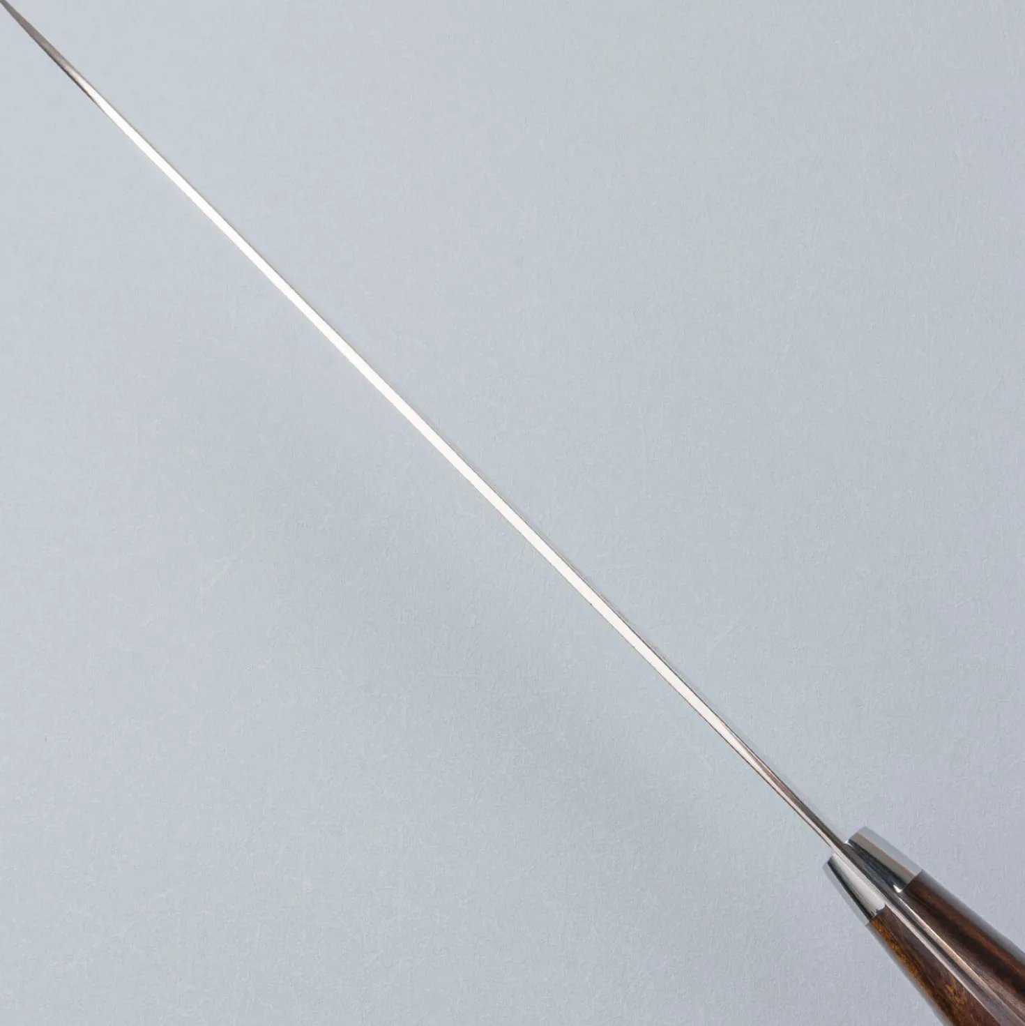 Takeshi Saji Rainbow Aogami Ironwood Gyuto 24 cm