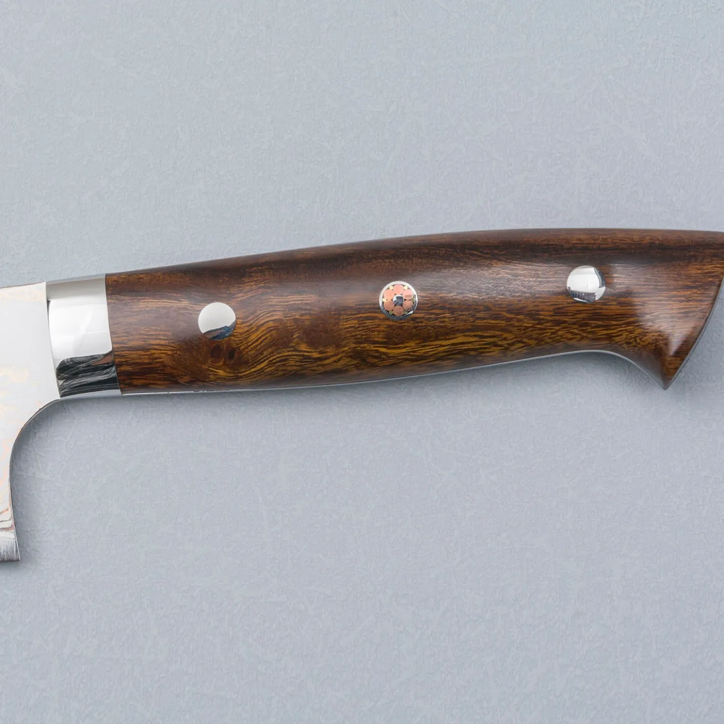 Takeshi Saji Rainbow Aogami Ironwood Gyuto 24 cm