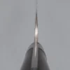 Takeshi Saji Rainbow Aogami Ironwood Sujihiki 27 cm