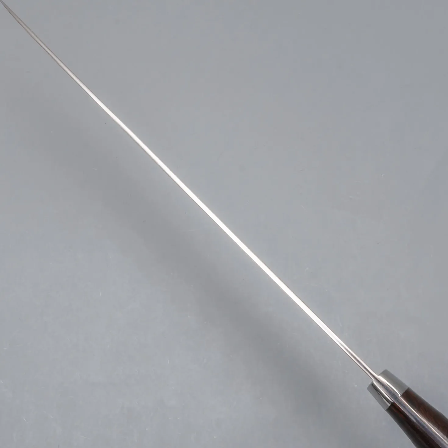 Takeshi Saji Rainbow Aogami Ironwood Sujihiki 27 cm