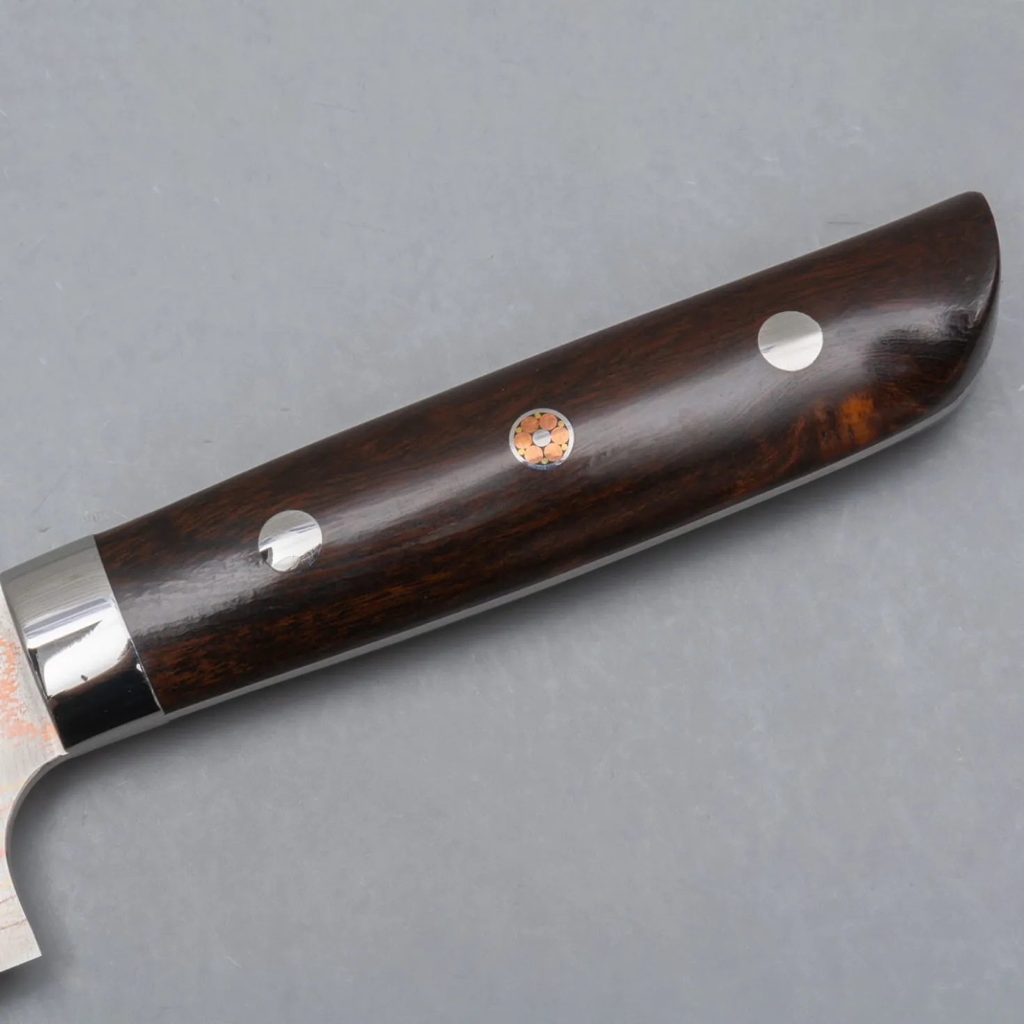 Takeshi Saji Rainbow Aogami Ironwood Sujihiki 27 cm