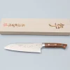 Takeshi Saji Rainbow Aogami Ironwood Santoku 18 cm