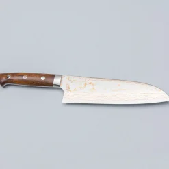 Takeshi Saji Rainbow Aogami Ironwood Santoku 18 cm