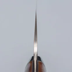 Takeshi Saji Rainbow Aogami Ironwood Nakiri