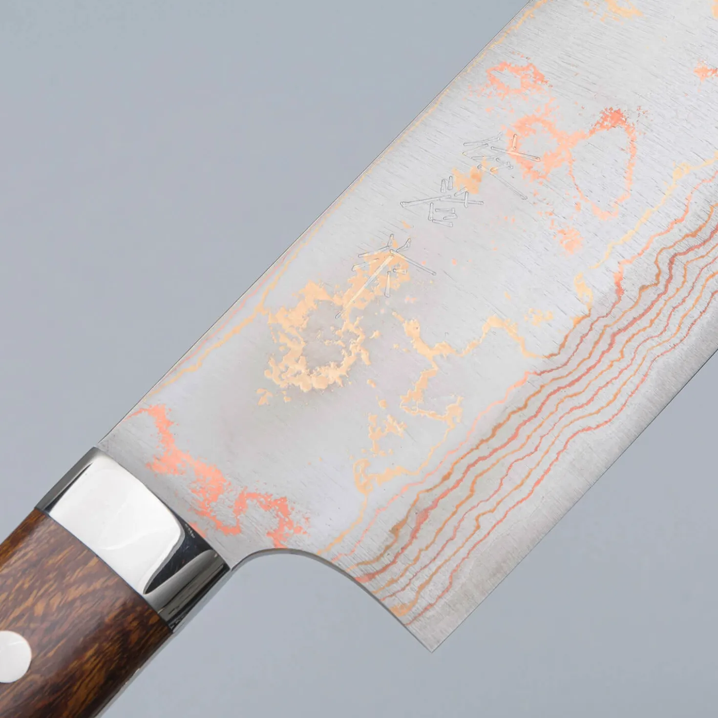 Takeshi Saji Rainbow Aogami Ironwood Nakiri