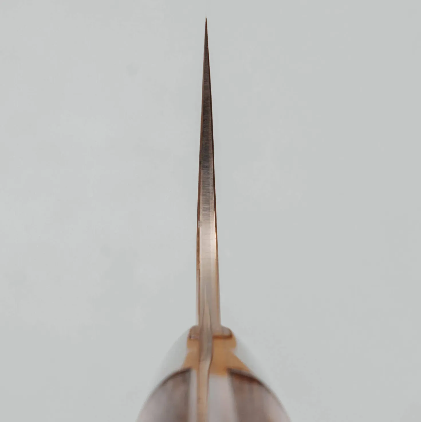 Takeshi Saji Rainbow Aogami Ironwood Gyuto 21 cm