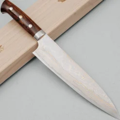 Takeshi Saji Rainbow Aogami Ironwood Gyuto 21 cm