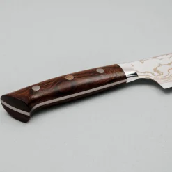 Takeshi Saji Rainbow Aogami Ironwood Gyuto 21 cm