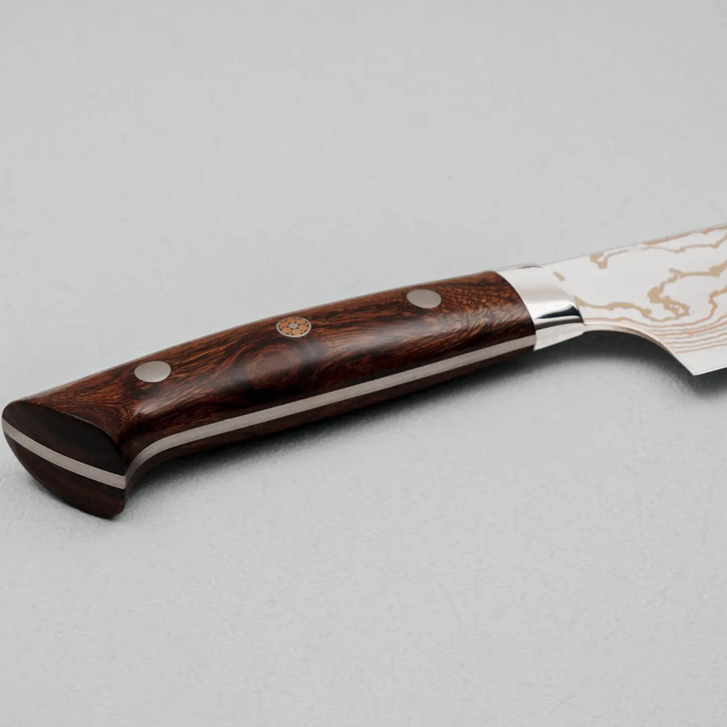 Takeshi Saji Rainbow Aogami Ironwood Gyuto 21 cm