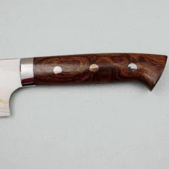 Takeshi Saji Rainbow Aogami Ironwood Gyuto 21 cm