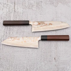 Takeshi Saji Rainbow Aogami Wa Sujihiki 27 cm