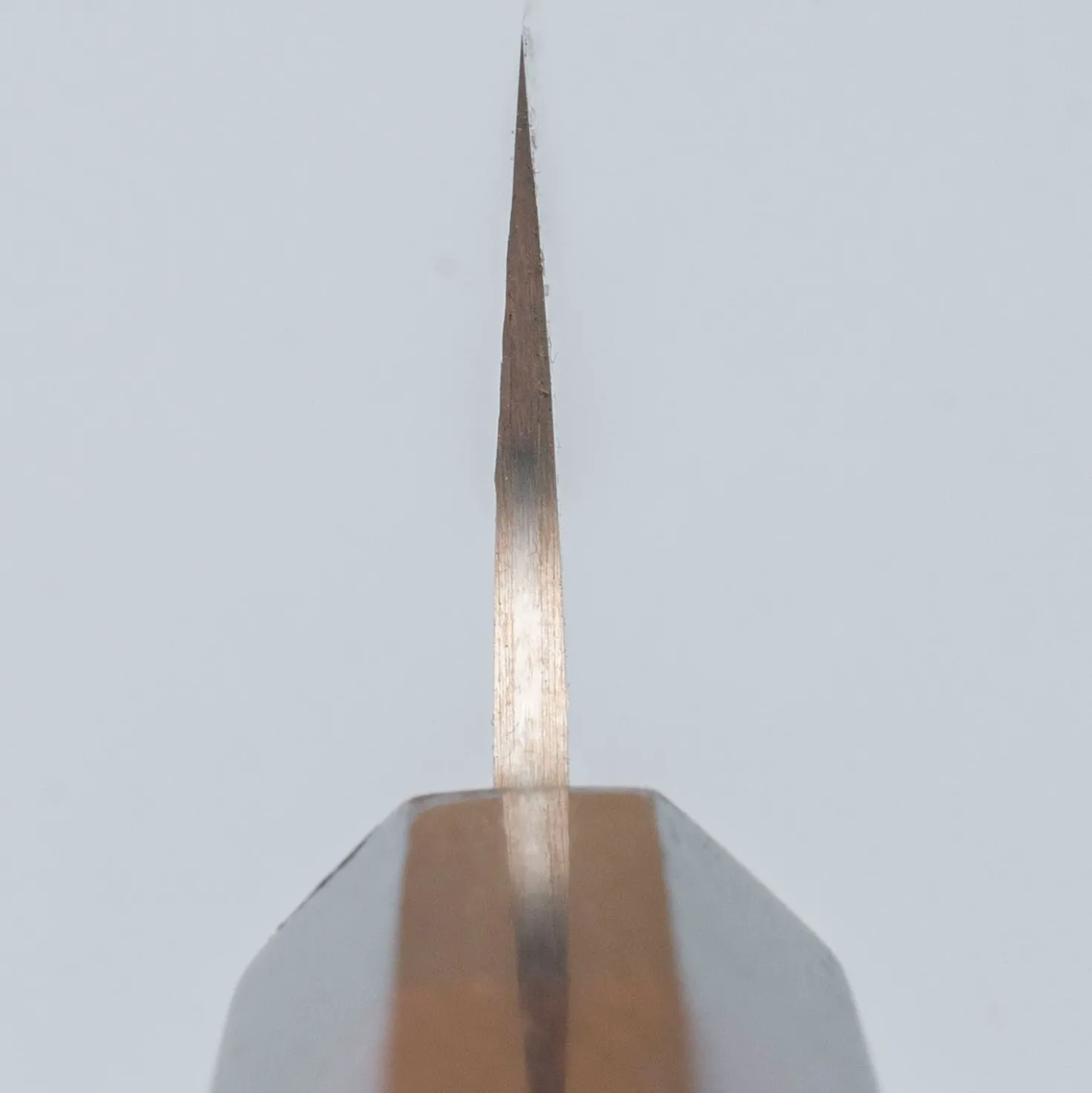 Takeshi Saji Rainbow Aogami Wa Sujihiki 24 cm