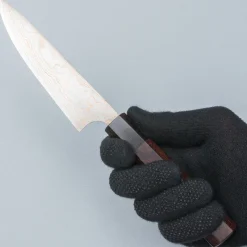 Takeshi Saji Rainbow Aogami Wa Petty 13.5 cm