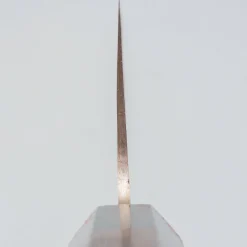Takeshi Saji Rainbow Aogami Wa Nakiri 17 cm